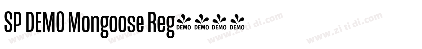 SP DEMO Mongoose Reg字体转换